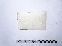 黃則修攝龍山寺系列照片民國五十年展覽會佈展樣版11藏品圖，第2張