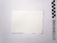 黃則修攝銅像1藏品圖，第2張