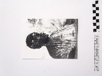 黃則修攝銅像2藏品圖，第1張