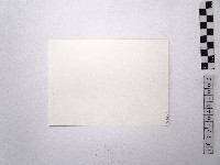 黃則修攝銅像2藏品圖，第2張