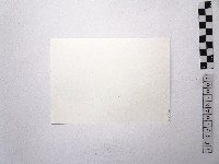 黃則修攝銅像3藏品圖，第2張