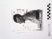 黃則修攝銅像系列照片藏品圖，第1張