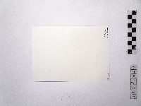 黃則修攝賴秀峰藏品圖，第2張