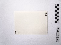 黃則修攝曹金鈴舞群藏品圖，第2張