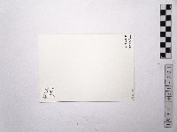 黃則修攝蔡瑞月舞蹈社助教方淑媛藏品圖，第2張