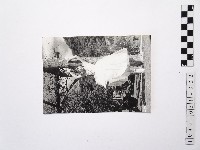 黃則修攝蔡瑞月舞蹈社方淑芳1藏品圖，第1張