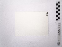 黃則修攝蔡瑞月舞蹈社方淑芳1藏品圖，第2張