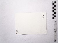 黃則修攝蔡瑞月舞蹈社社員藏品圖，第2張