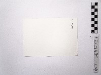 黃則修攝蔡瑞月舞蹈社方淑芳2藏品圖，第2張