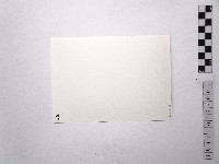 黃則修攝女藝人江霞1藏品圖，第2張