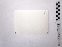 黃則修攝女藝人江霞2藏品圖，第2張