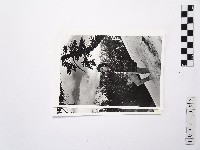 黃則修攝女藝人江霞系列照片藏品圖，第1張