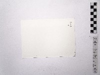 黃則修攝女藝人鄧麗君2藏品圖，第2張