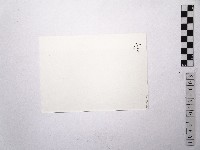 黃則修攝女藝人鄧麗君3藏品圖，第2張