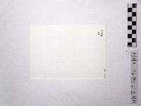 黃則修攝女藝人鄧麗君4藏品圖，第2張