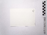 黃則修攝女藝人鄧麗君5藏品圖，第2張