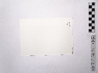 黃則修攝女藝人鄧麗君6藏品圖，第2張