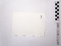 黃則修攝女藝人鄧麗君7藏品圖，第2張