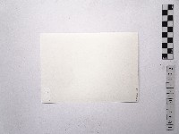 黃則修攝女藝人方欣藏品圖，第2張