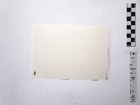 黃則修攝女藝人王祥齡1藏品圖，第2張