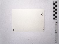 黃則修攝女藝人王祥齡3藏品圖，第2張