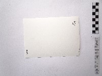 黃則修攝女藝人王祥齡4藏品圖，第2張