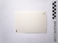 黃則修攝女藝人王祥齡5藏品圖，第2張