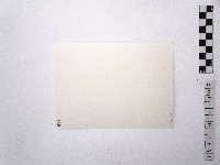 黃則修攝女藝人崔苔青藏品圖，第2張