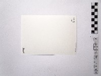 黃則修攝女藝人邵佩玉藏品圖，第2張