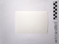 黃則修攝女藝人1藏品圖，第2張