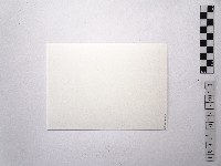 黃則修攝女藝人2藏品圖，第2張