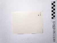 黃則修攝女藝人3藏品圖，第2張