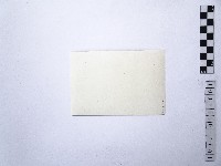 黃則修攝日本女星南田洋子1藏品圖，第2張