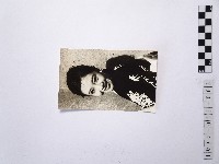 黃則修攝日本女星南田洋子2藏品圖，第1張