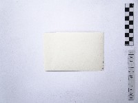 黃則修攝日本女星南田洋子2藏品圖，第2張