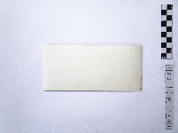 黃則修攝日本女星南田洋子3藏品圖，第2張