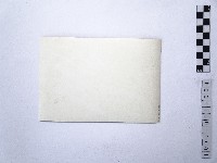 黃則修攝日本女星南田洋子4藏品圖，第2張