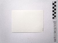 黃則修攝日本女星南田洋子5藏品圖，第2張