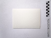 黃則修攝日本女星南田洋子6藏品圖，第2張