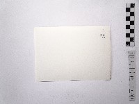 黃則修攝日本女星扇千景1藏品圖，第2張