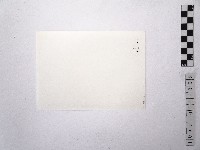 黃則修攝日本女星扇千景2藏品圖，第2張