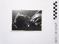 黃則修攝日本女星扇千景3藏品圖，第1張