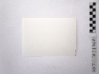 黃則修攝日本女星扇千景3藏品圖，第2張