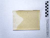 黃則修攝外國女子藏品圖，第2張