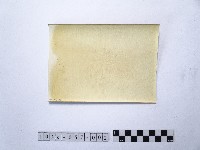 黃則修攝湖泊風情2藏品圖，第2張