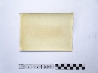 黃則修攝湖泊風情3藏品圖，第2張