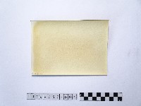 黃則修攝湖泊風情4藏品圖，第2張