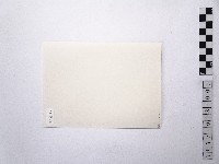 黃則修攝女藝人林孟昭1藏品圖，第2張