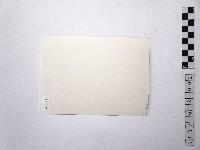 黃則修攝女藝人林孟昭2藏品圖，第2張