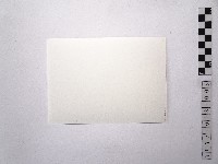 黃則修攝女藝人1藏品圖，第2張